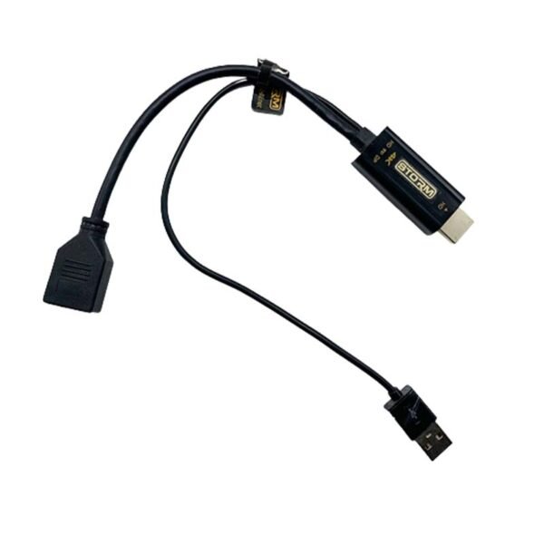 Cable adaptateur HDMI vers DisplayPort Femelle 4K