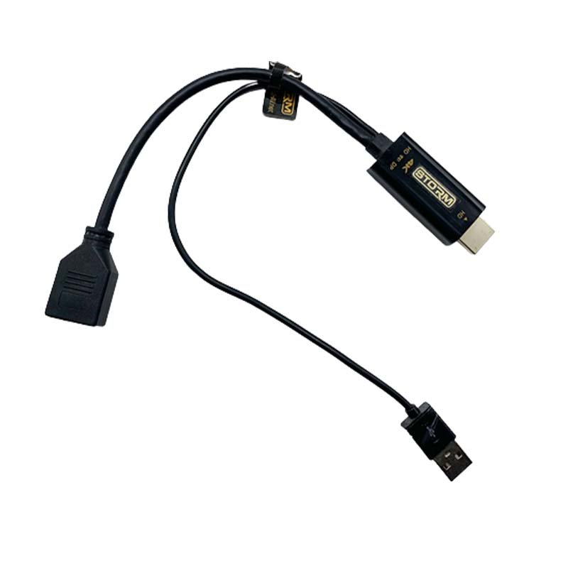 Câble Adaptateur HDMI vers DisplayPort Femelle - TecnoCity