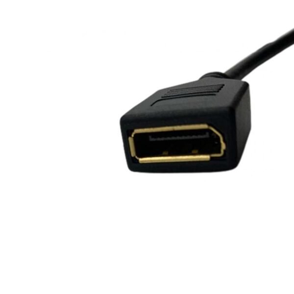 Cable HDMI MALE Convertisseur vers DisplayPort Femelle 4K