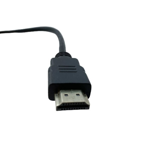 Câble Convertisseur DisplayPort 1.2 Male