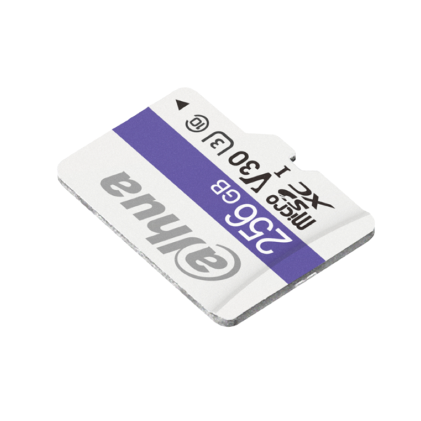 Dahua Carte Mémoire 256 GB MicroSD C100