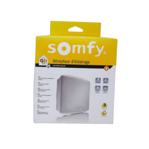 Somfy 2400583 - Récepteur d'éclairage intérieur ON - OFF RTS 500W