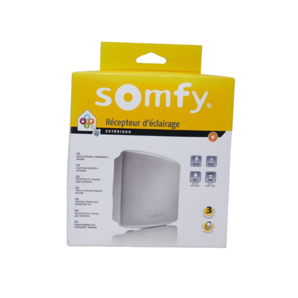 Somfy 2400583 - Récepteur d'éclairage intérieur ON - OFF RTS 500W