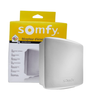 Somfy 2400583 - Récepteur d'éclairage intérieur ON-OFF RTS 500W