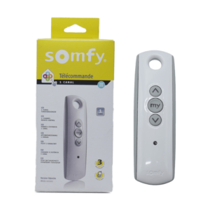 Somfy 2400674 - Télécommande TELIS 1 RTS - CANAL 433-42 MHz