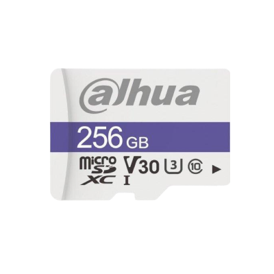 Dahua Carte Mémoire 256 GB MicroSD C100